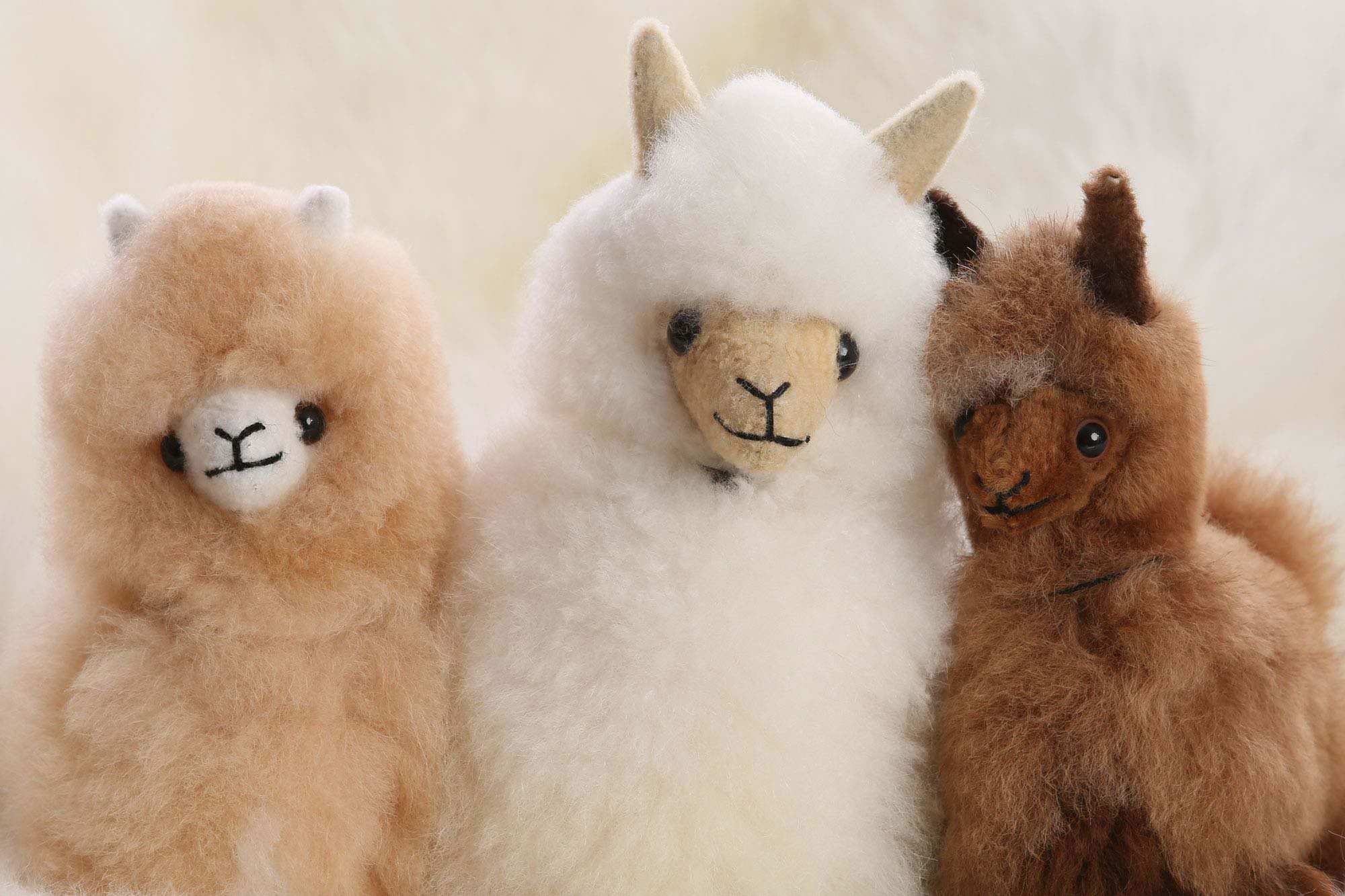 Vred Hold sammen med Ernæring Alpaca Gifts - to delight both children and adults - Auskin Australia